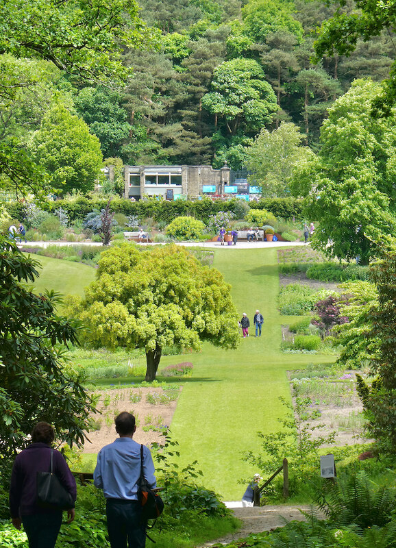 View Across Harlow Carr Gardens © Paul Harrop :: Geograph Britain And 