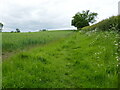 Bridleway to Shoby