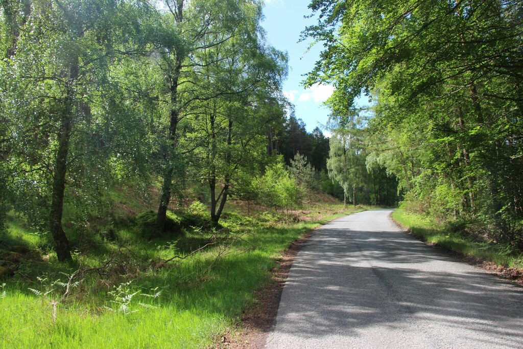 Tree-lined B970 road © Alan Reid :: Geograph Britain and Ireland