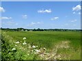 Brick Kiln Field