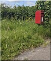 Queen Elizabeth II postbox on grass, Coed-y-fedw