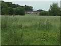 The outskirts of Carlisle in the Caldew valley