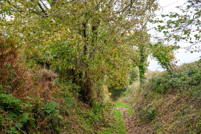 Withycombe : Track © Lewis Clarke :: Geograph Britain and Ireland