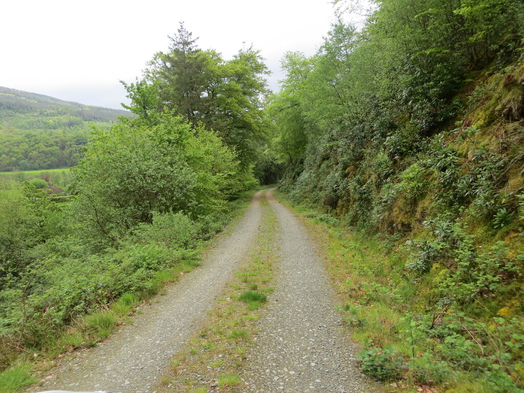 Forest track descending towards... © Peter Wood :: Geograph Britain and ...