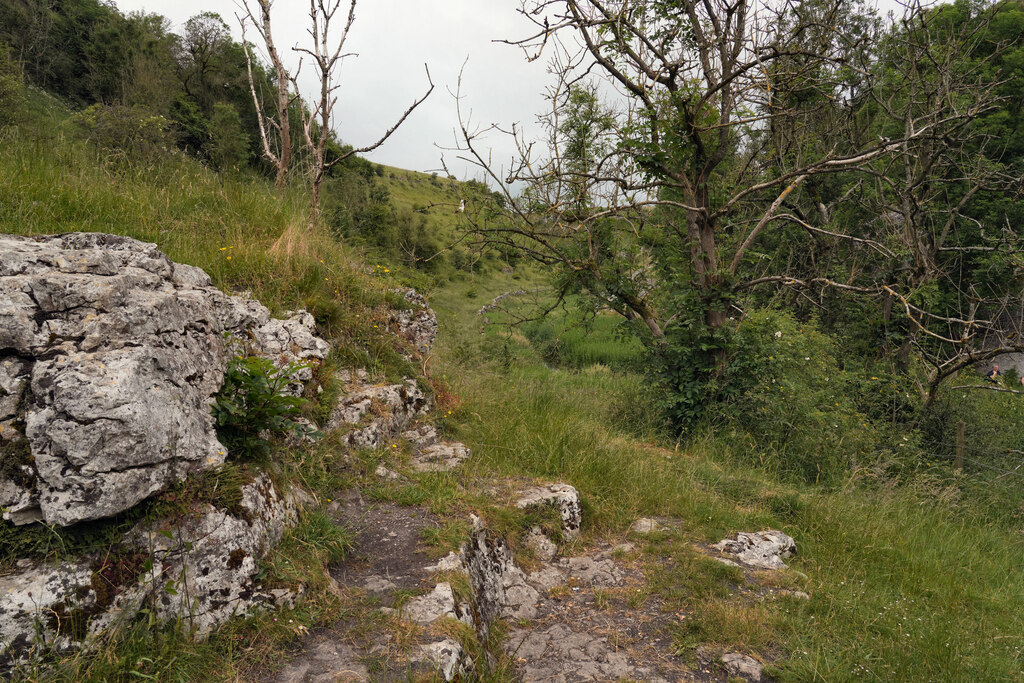 Overlooking Lathkill Dale © Malcolm Neal :: Geograph Britain and Ireland