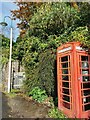 Minehead : Telephone Booth