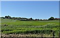 View across fields to the edge of Osgodby