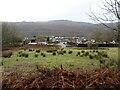 View from a charter train - Heol las Fawr, Ynysfadog