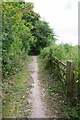 Gate by Bridleway 257