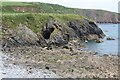 Cliff below Stackpole Farm