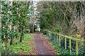 Butleigh : Footpath