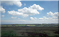 Sleights Moor seen from Whitby Road (A169)