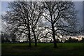 Street : Grassy Field