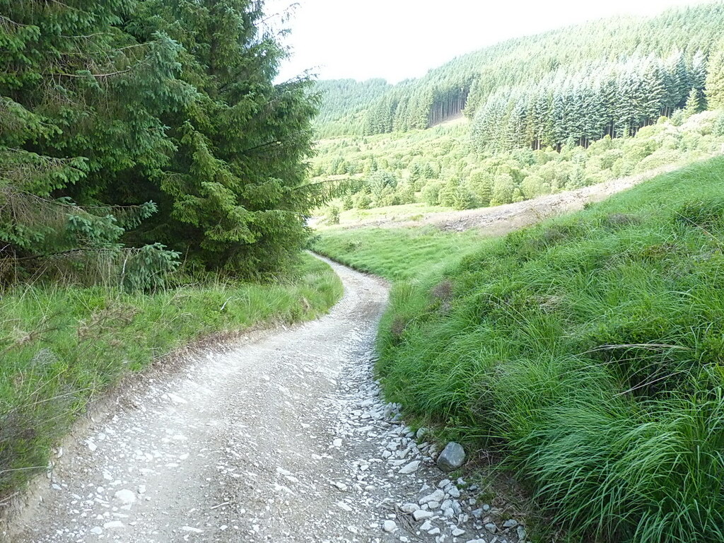 Forest track below the hillside of Drum... © Richard Law :: Geograph ...