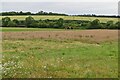 Farmland and railway bridge