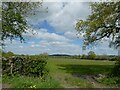 Field off Shay Lane, Oscroft