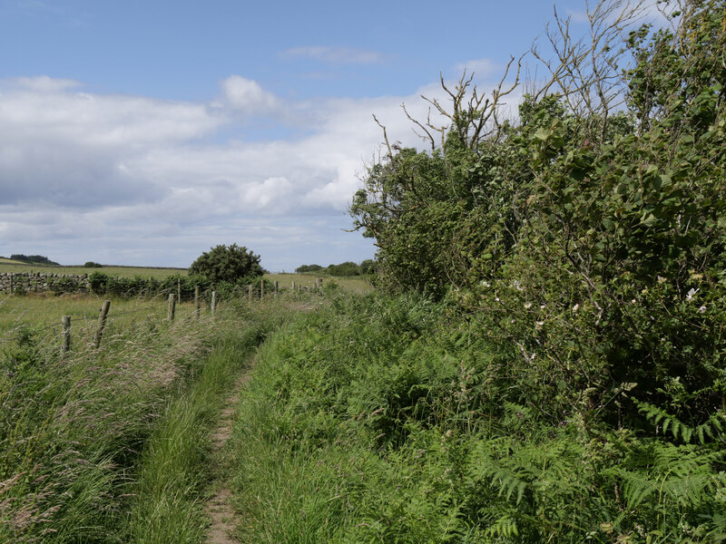 The Cleveland Way near Beast Cliff © habiloid :: Geograph Britain and ...