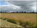 Farmland towards High Ercall