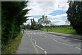 Zebra crossing over Coronation Avenue