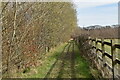 Footpath by the A27