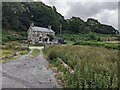 The driveway to Llwyn Celyn