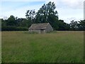 Small barn in a sea of grass