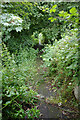 The path from Longwood Edge Road to Lamb Hall Road (HUD/421/40), Huddersfield