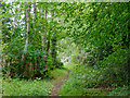 Highland Core Path RC 18.07 Bishops Road to Feddonhill