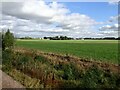 From a York-Doncaster train - Fields near Little lawn Wood