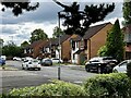 Houses on Pinewoods