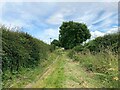 Closes Side Lane near East Bridgford