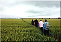 Walking through a wheatfield