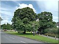 Ickleton, village sign