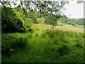 Invisible footpath, South Crosland