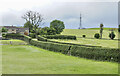 Hedges lining access road for Thornton Hall Farm