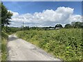 Lane across Gelligaer Common