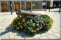 Say it with Flowers and a Cannon in Fishguard