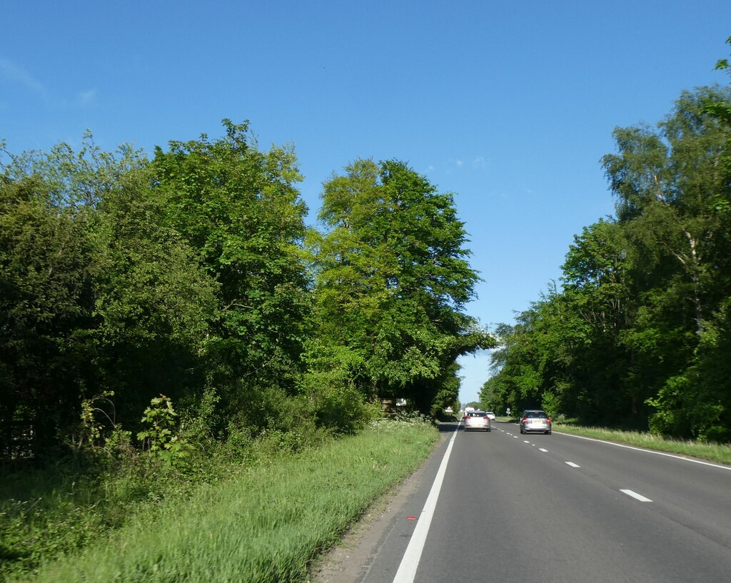 Eastbound A31 on Hog’s Back © David Smith :: Geograph Britain and Ireland