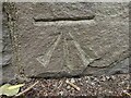 Ordnance Survey Benchmark - Lampeter, North Road