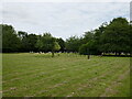 Waddington Cemetery