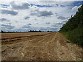 Part harvested field of barley, Navenby