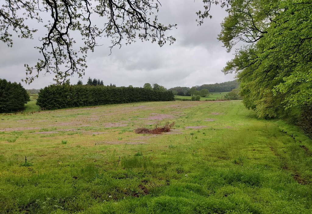 Grassland Along Habberley Road © Mat Fascione Geograph Britain And Ireland