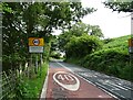 Entering Goginan on the A44