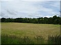 Cut silage field, Clydfanau Bridge