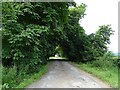 Road to Llandinam Hall