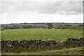 North Yorkshire pasture