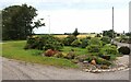 Colourful garden at Barbaraville