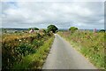 Lane near Trellwyn