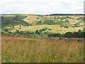 View across the lower end of Swaledale