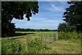 Field north of Thorner Lane